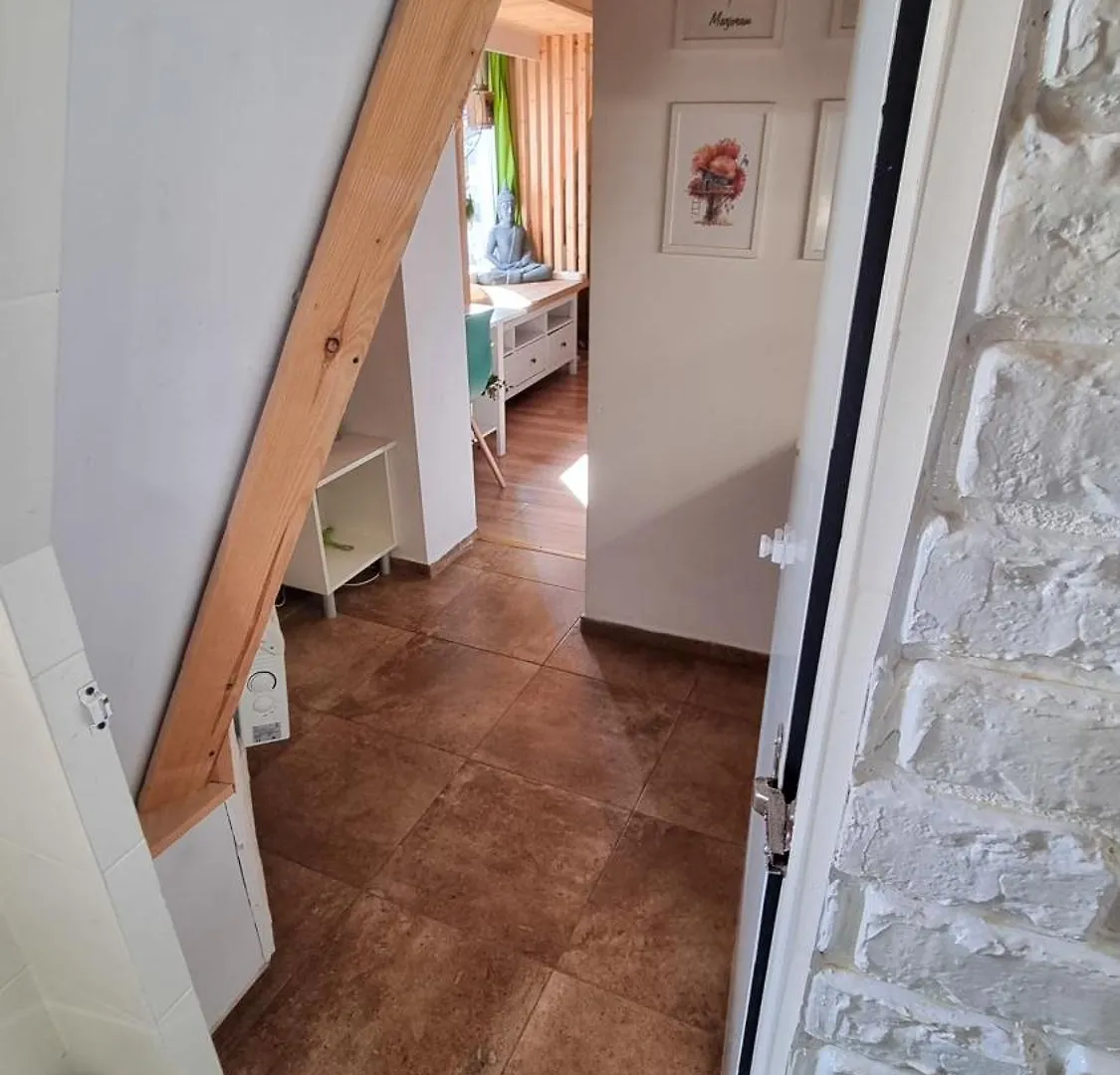 Apartment Apartament Goscinny 